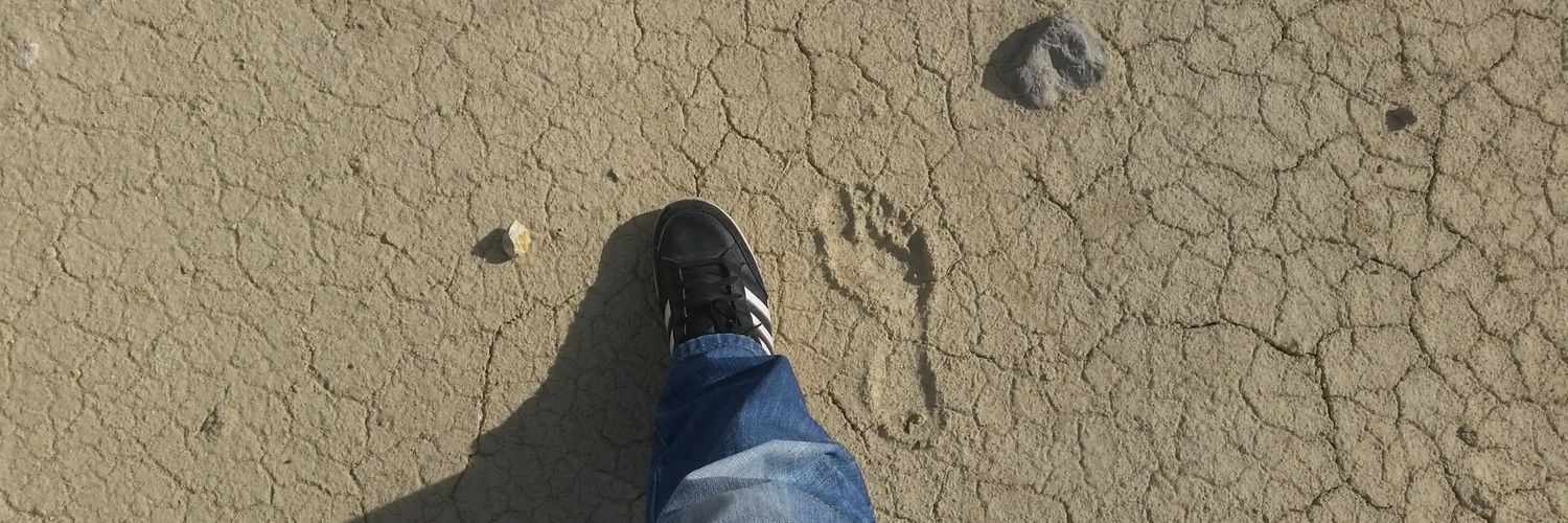 Vincent Plançon banner