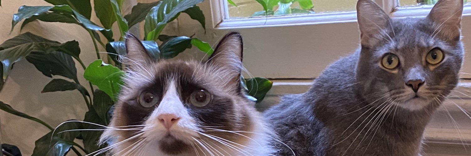 EnzzoPolero's profile banner image