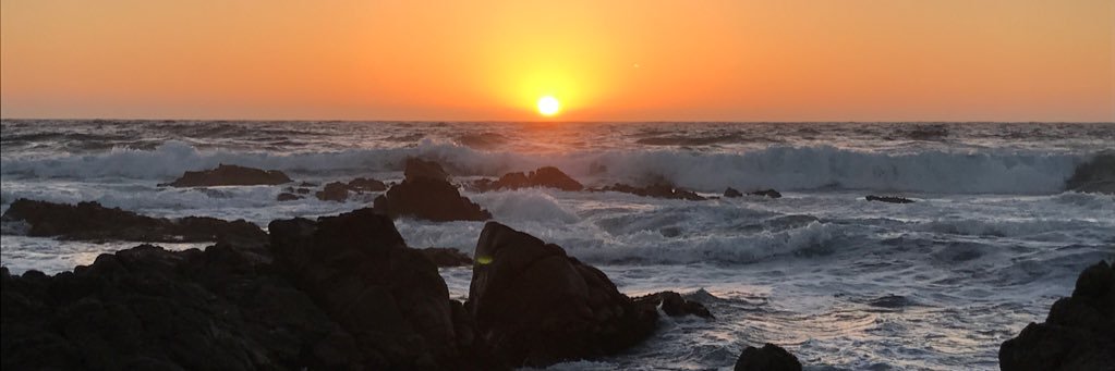 Sophie Chase Watts banner