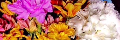 juniesierra's profile banner image