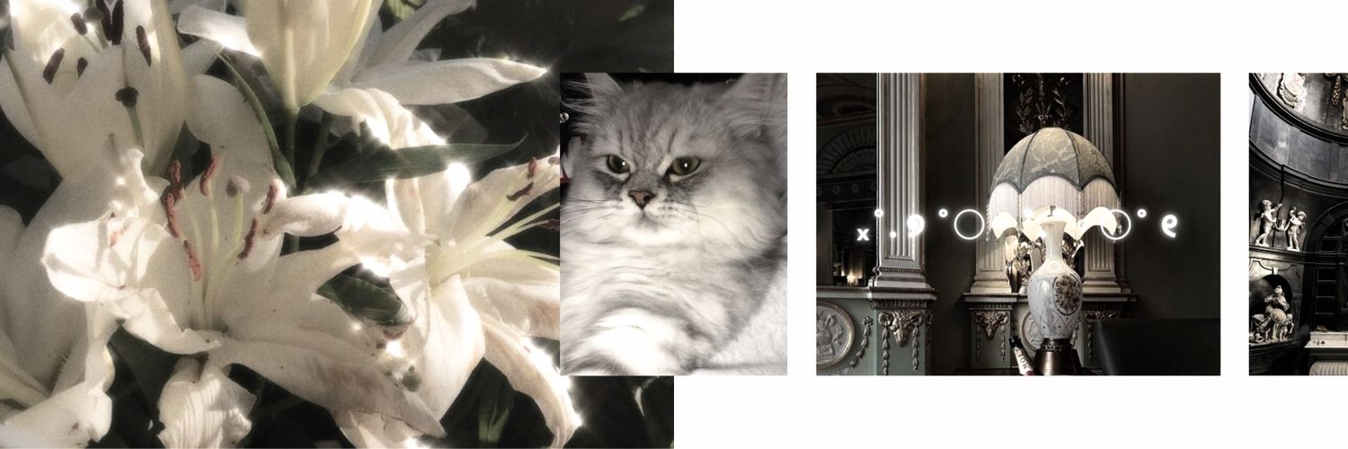 𝑏𝑜𝑜 banner