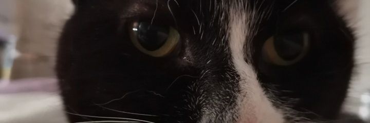 Lance_Crossfire's profile banner image