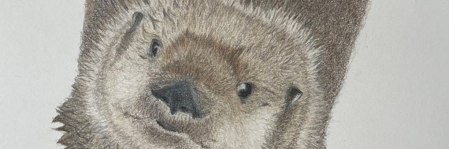 jlrstephens's profile banner image