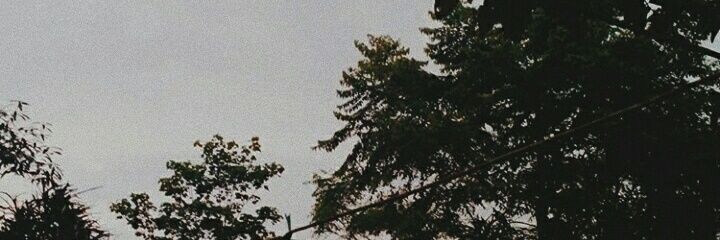 hairuladitya's profile banner image