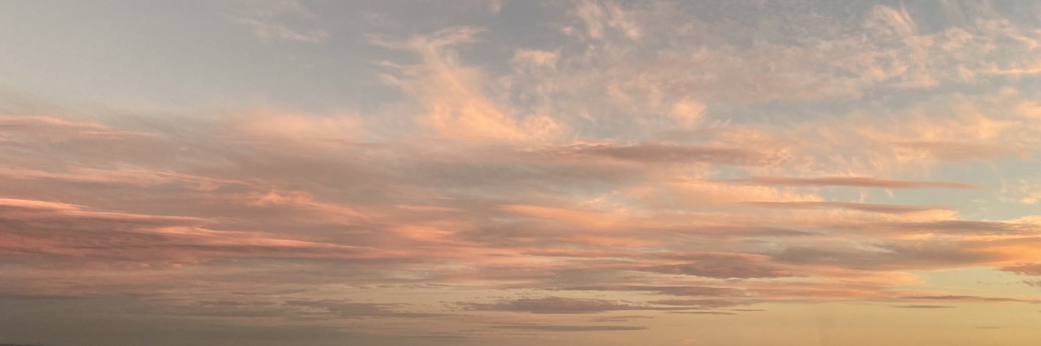 NoemiPrzH's profile banner image