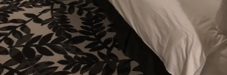 daisukidayo31's profile banner image