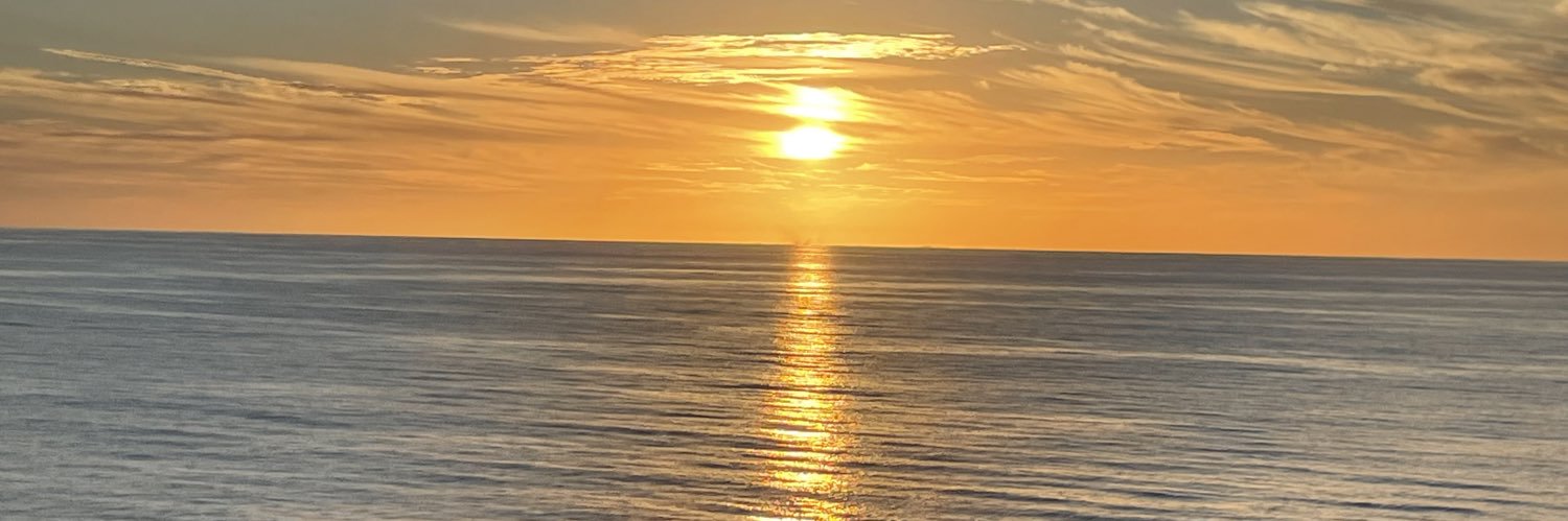 Elizabeth Gamber banner