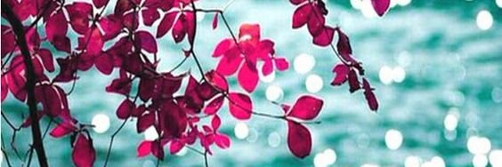 EHW_Milada's profile banner image