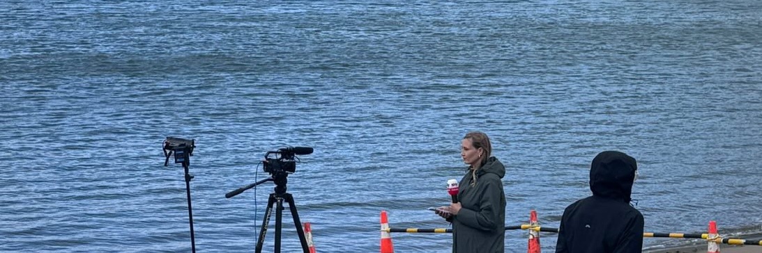 bridie witton banner