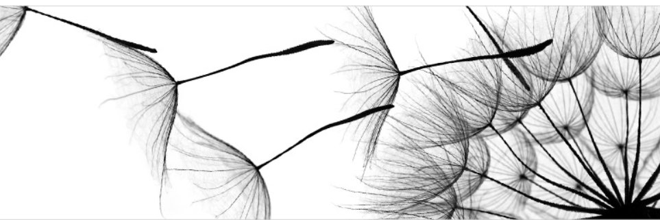 angela_roy's profile banner image