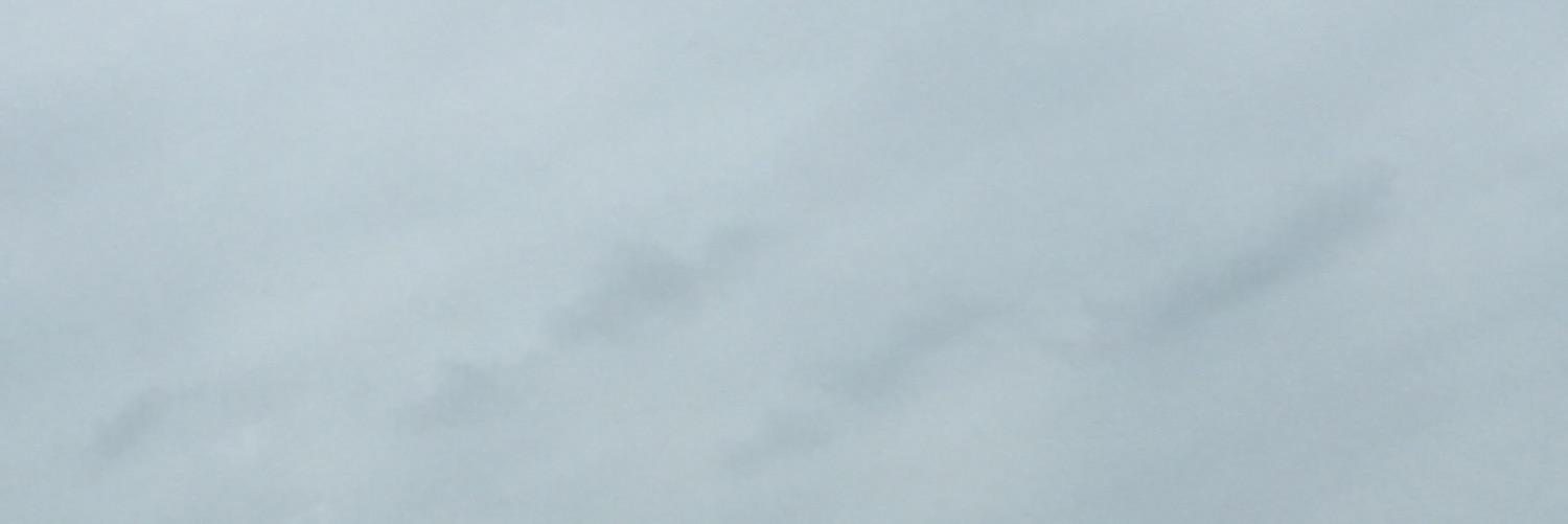ANlMATED's profile banner image