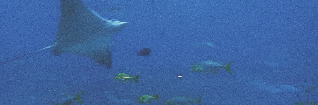 skyforever18's profile banner image