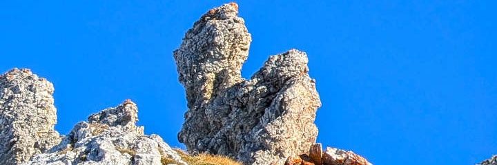 Temple247's profile banner image