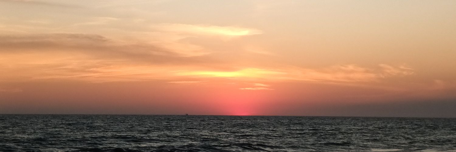 veronicapi_'s profile banner image