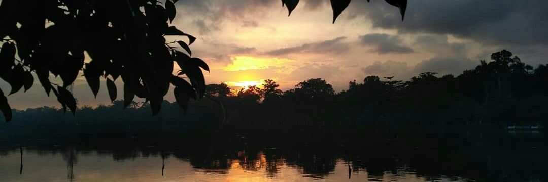 komang61's profile banner image