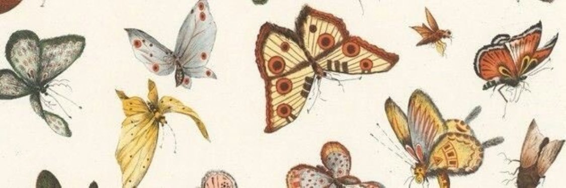 starswithbee's profile banner image