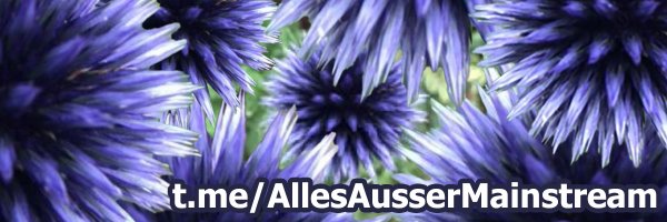 BoschimoDr Profile Banner