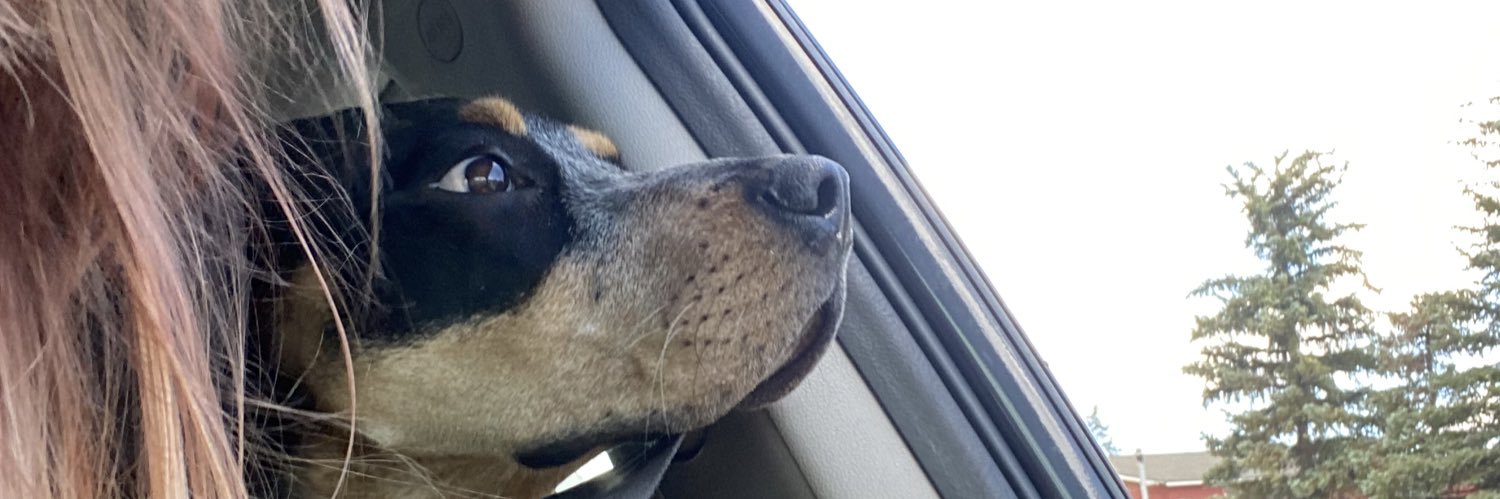 KaleiAnn's profile banner image