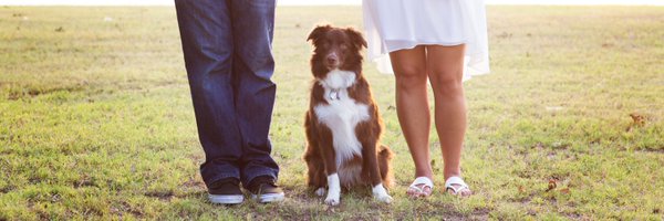 MrsYose Profile Banner