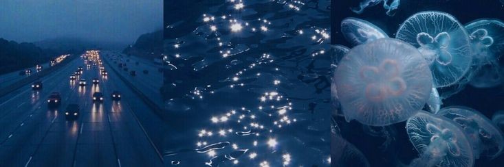 alviafns's profile banner image