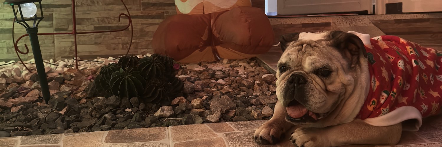 deefe21's profile banner image
