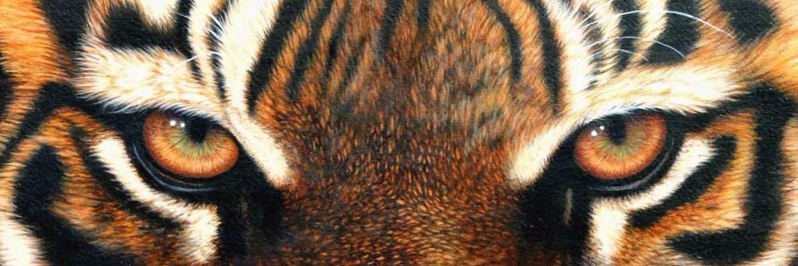 Macon Softball banner