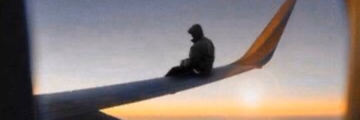 SteveShouldStop's profile banner image