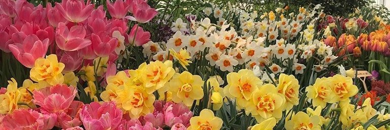 Manar_Mahran_'s profile banner image