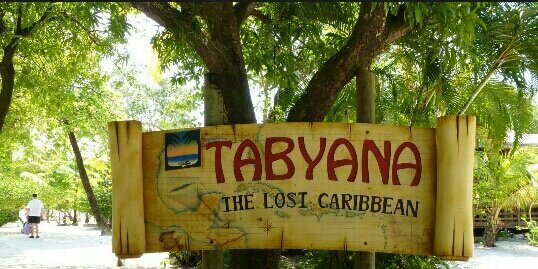 tabeyanakramer's profile banner image