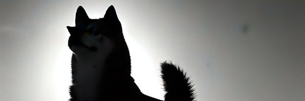 happyeqb Profile Banner