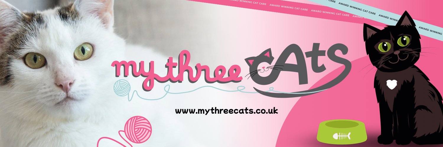 My Three Cats 😺🐈🐾 banner