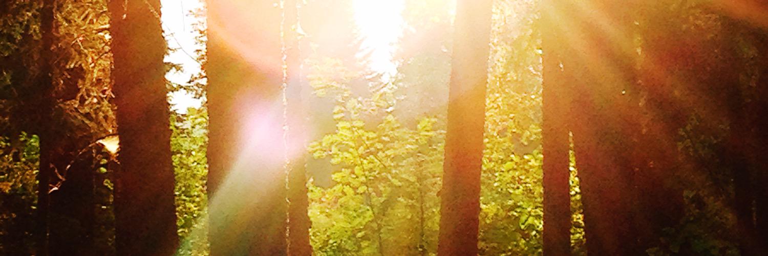 KloepperJ's profile banner image