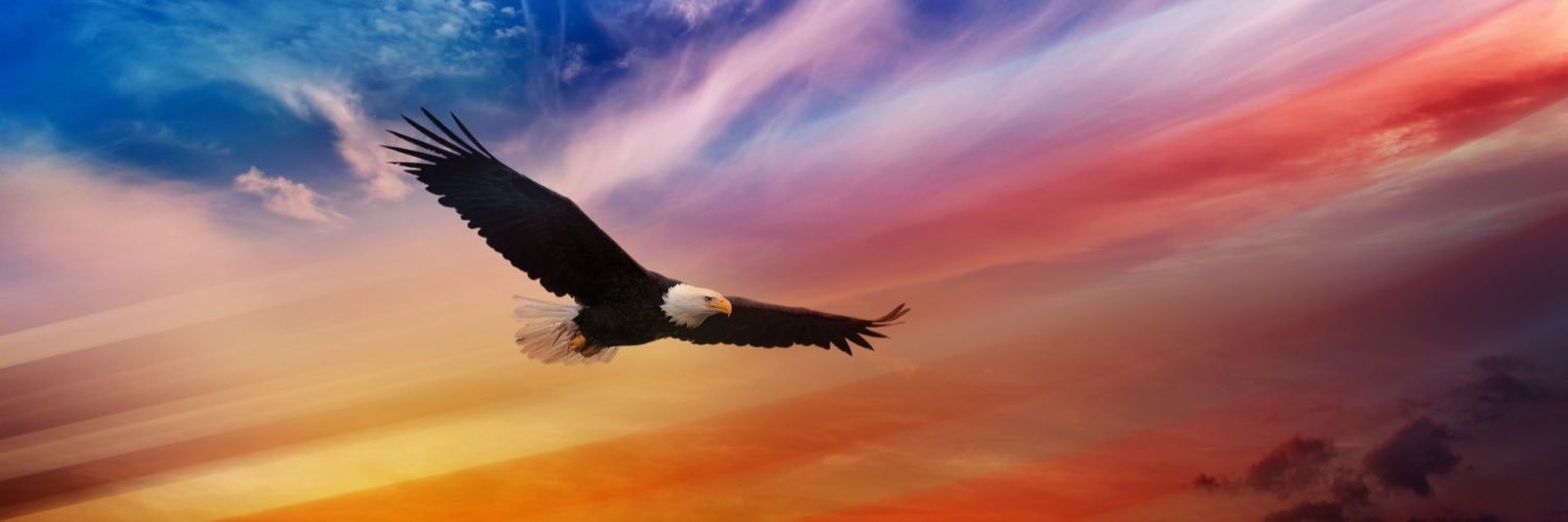 eagleinvco's profile banner image