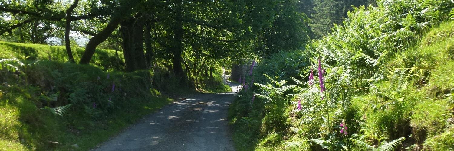 Devon Social Group banner