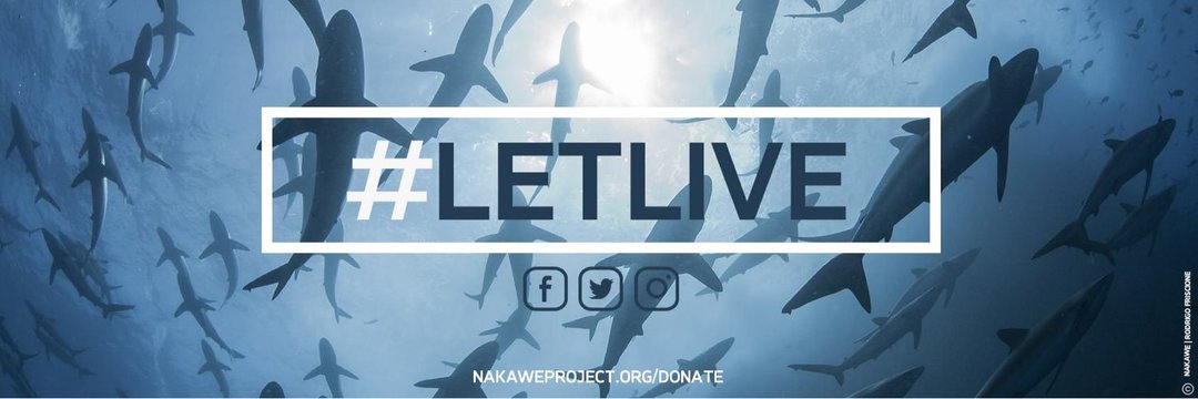 nakawe_project's profile banner image