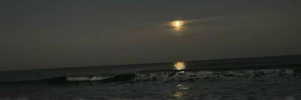 humajns Profile Banner