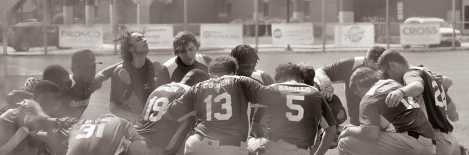VPCC Gators Baseball banner