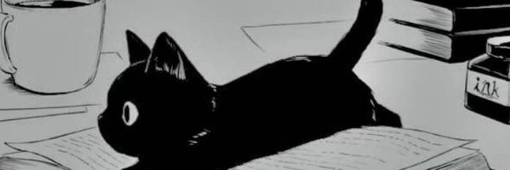NCK_FPS's profile banner image