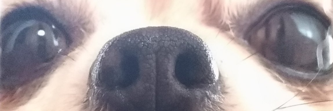In02858110's profile banner image