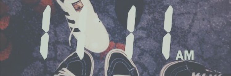 Paige Vilnit banner