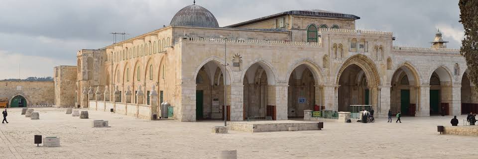 Mohammad Elius 🇧🇩🇵🇸 banner