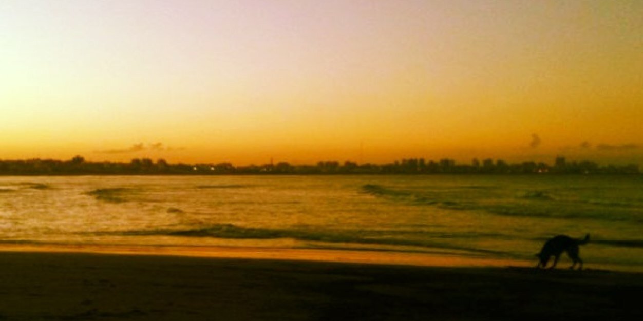 sofiacoste's profile banner image