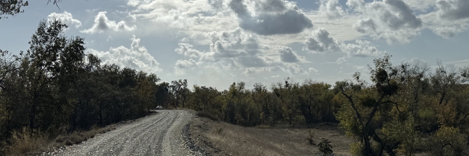 dtoxc3's profile banner image