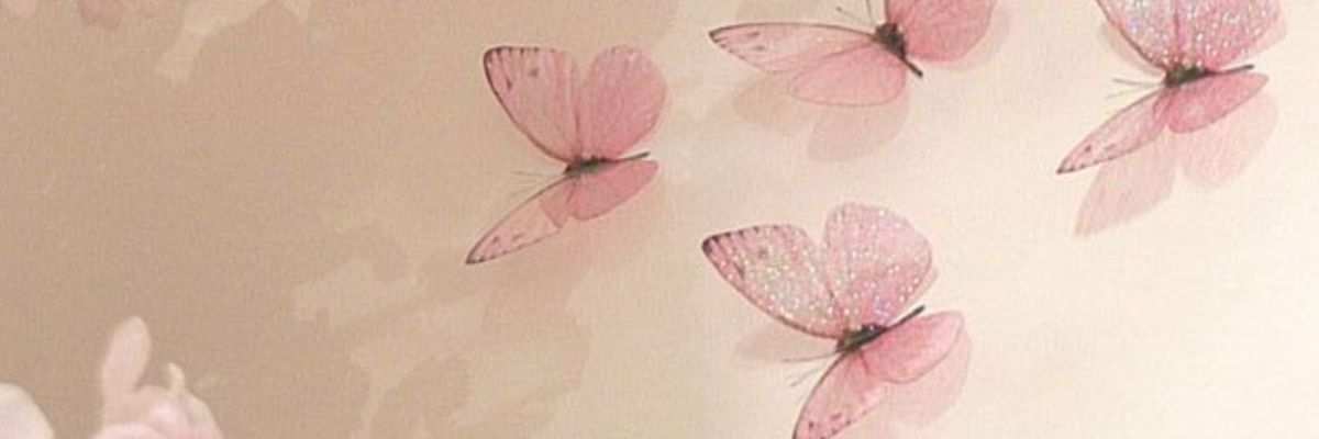 snchacng's profile banner image