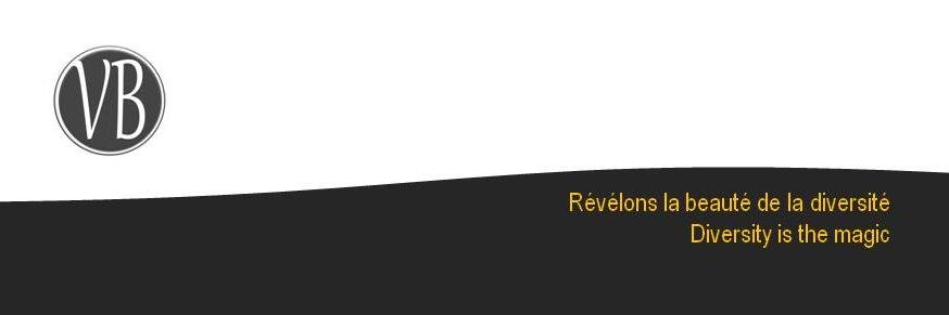 vbarreau's profile banner image