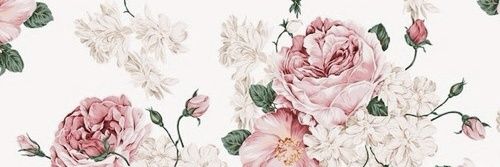baiyangzuo's profile banner image