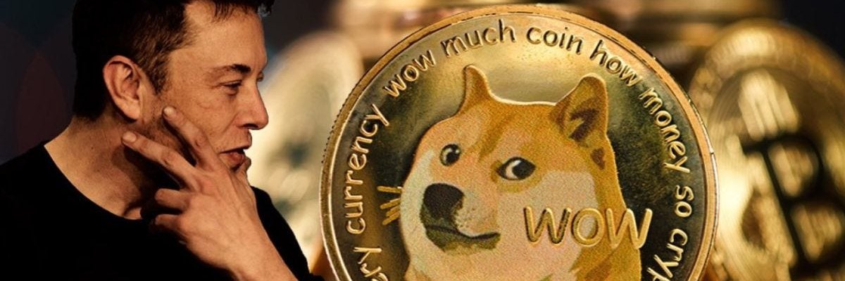 FionaDoge_99's profile banner image
