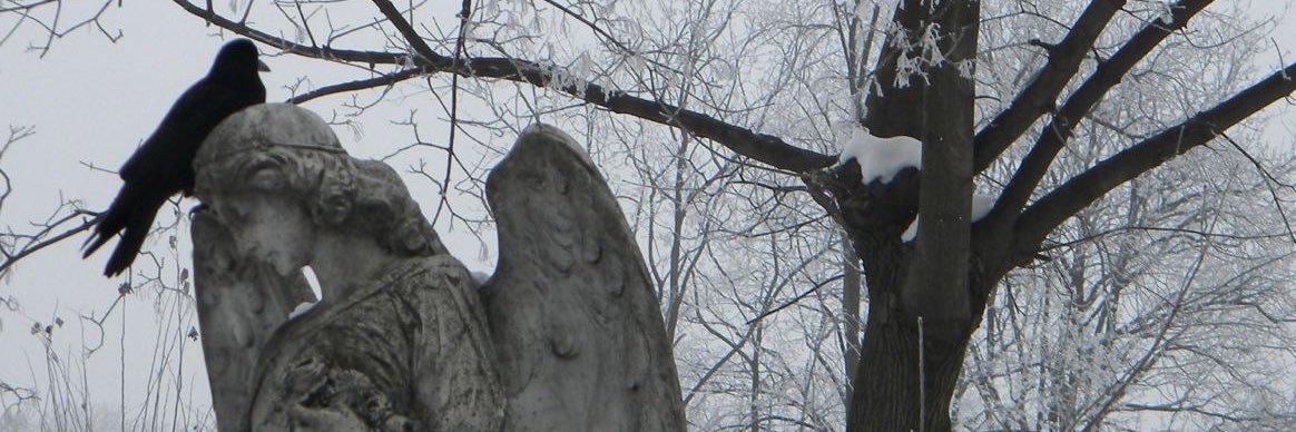 six banner