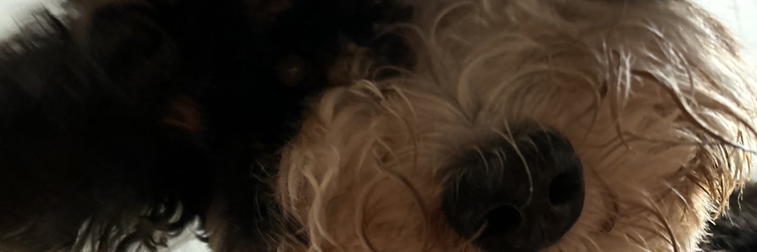 rr_bolt's profile banner image
