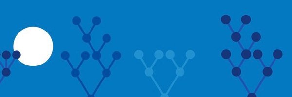 CatBoostML Profile Banner